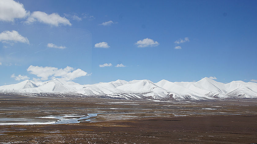 DSC09533.JPG