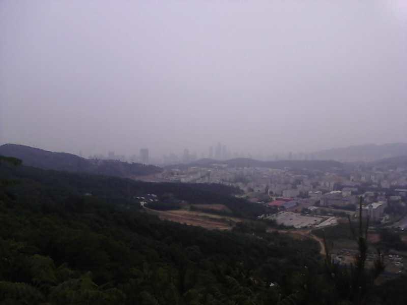 IMG_20130611_131210.jpg