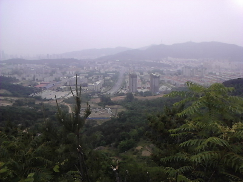 IMG_20130611_131204.jpg