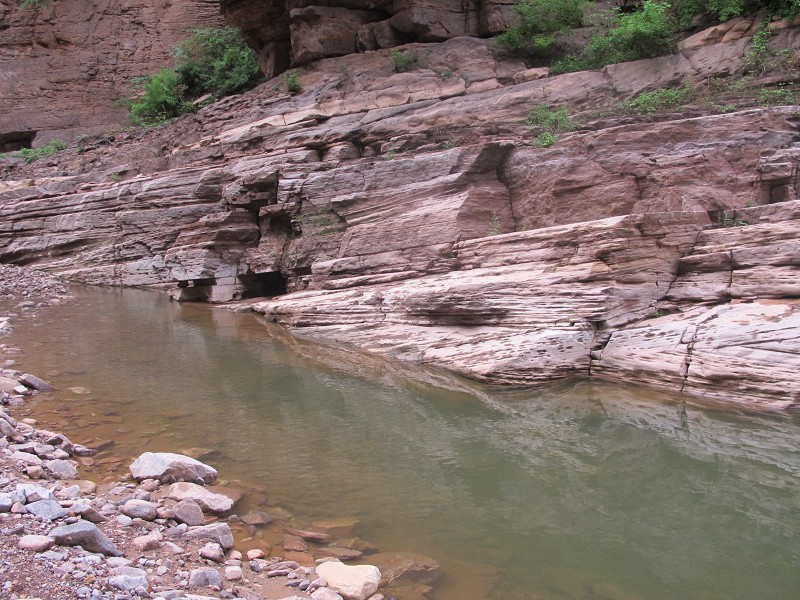 PhotoCap_466.jpg