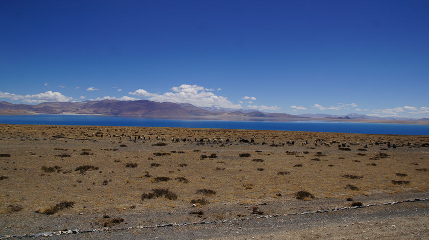 DSC09891.JPG