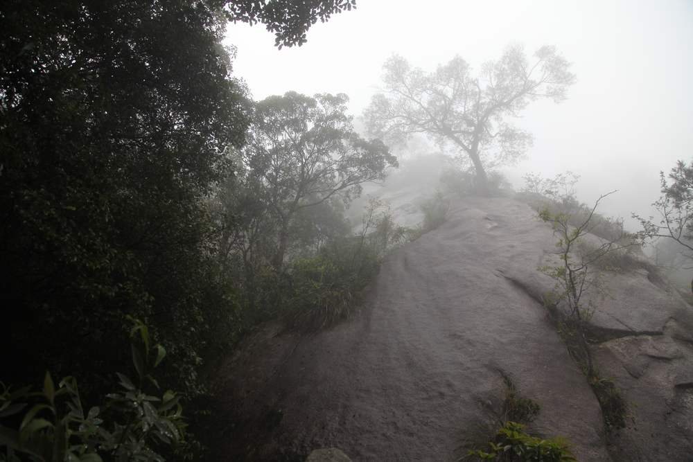 三清山，三溪大峡谷 288.jpg