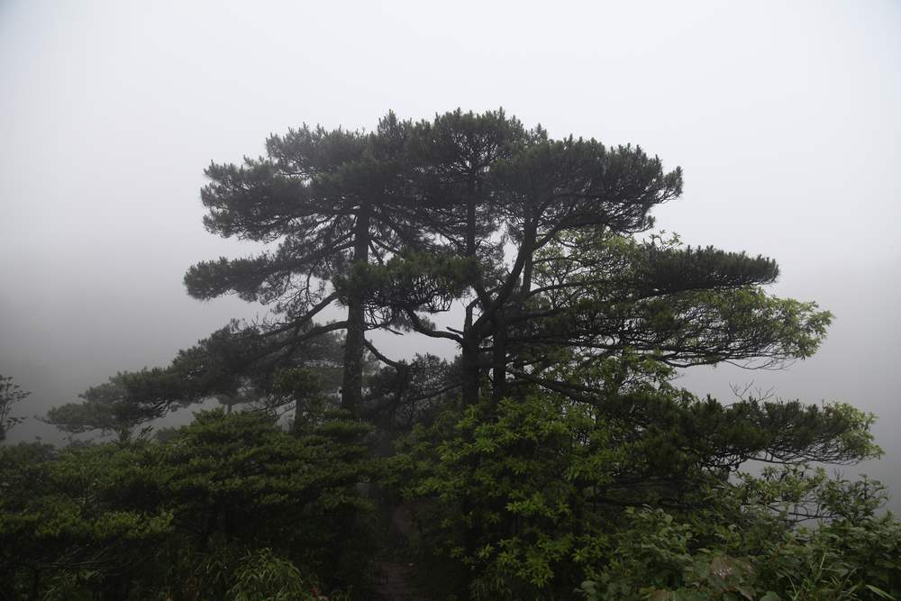 三清山，三溪大峡谷 301.jpg