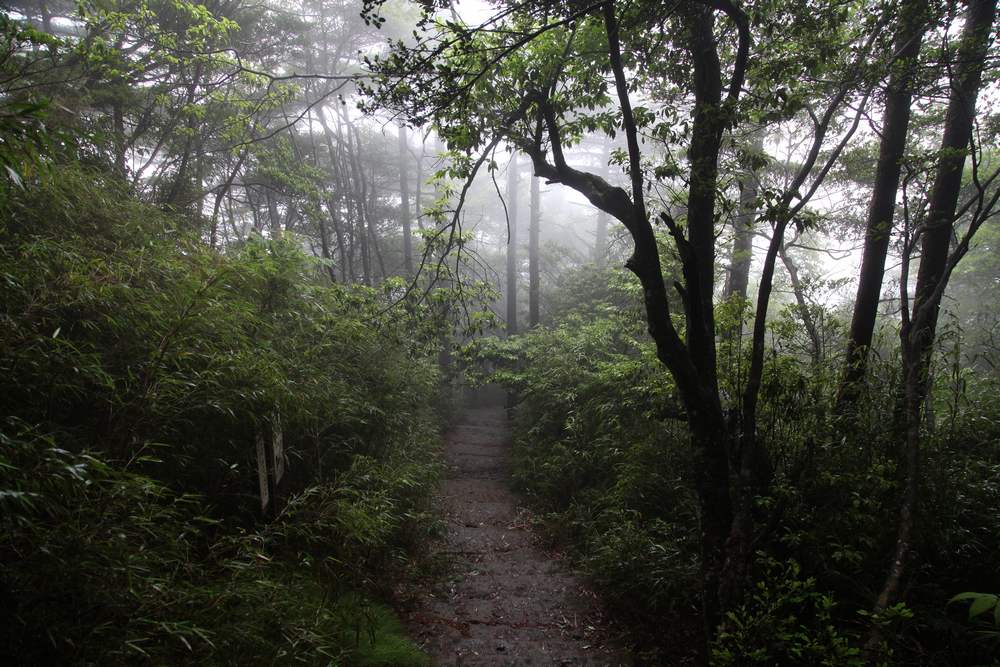 三清山，三溪大峡谷 304.jpg