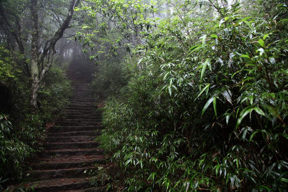 三清山，三溪大峡谷 303.jpg