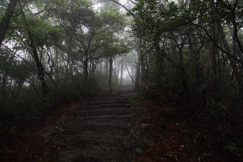 三清山，三溪大峡谷 305.jpg