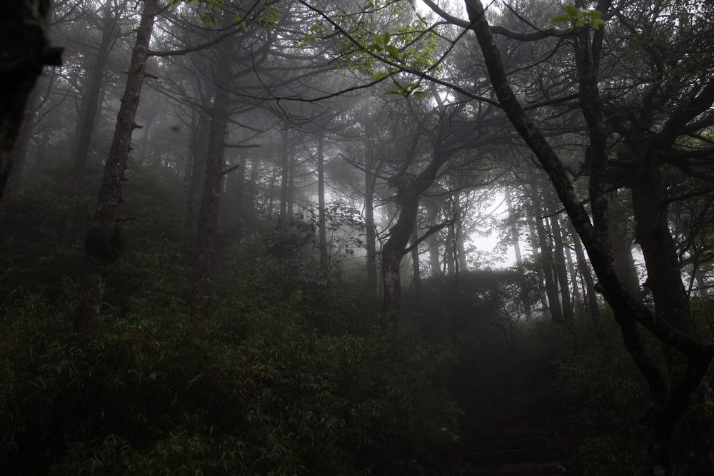 三清山，三溪大峡谷 306.jpg