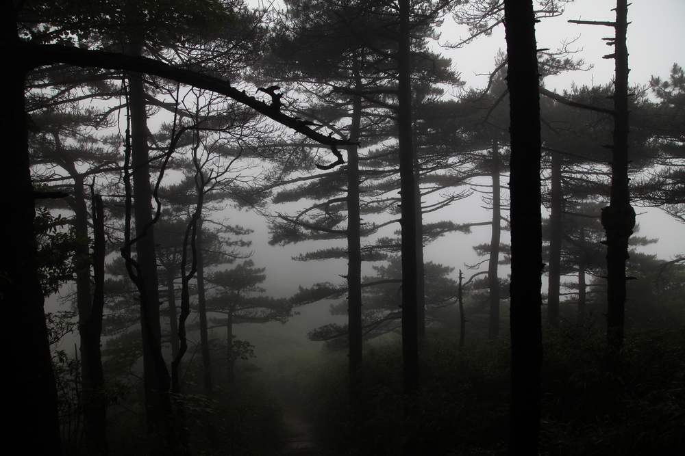 三清山，三溪大峡谷 312.jpg