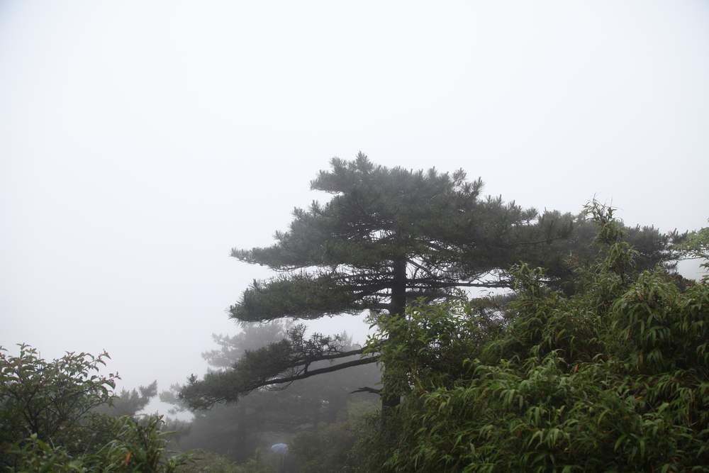 三清山，三溪大峡谷 331.jpg