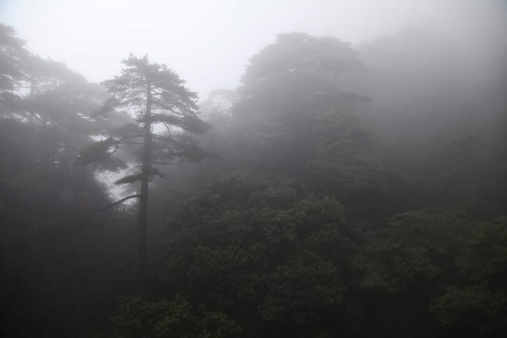 三清山，三溪大峡谷 339.jpg