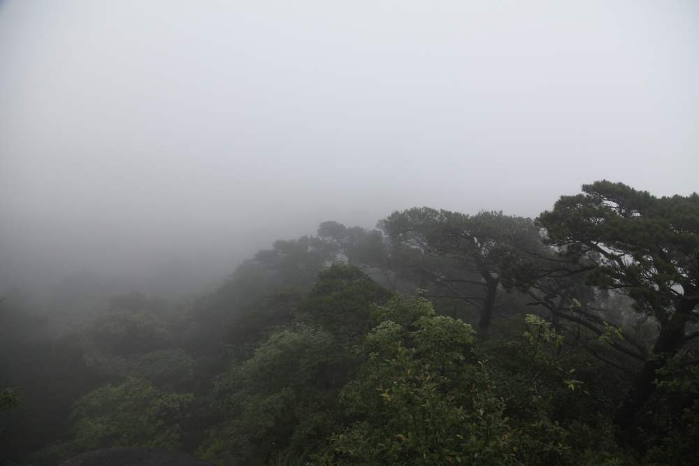三清山，三溪大峡谷 342.jpg