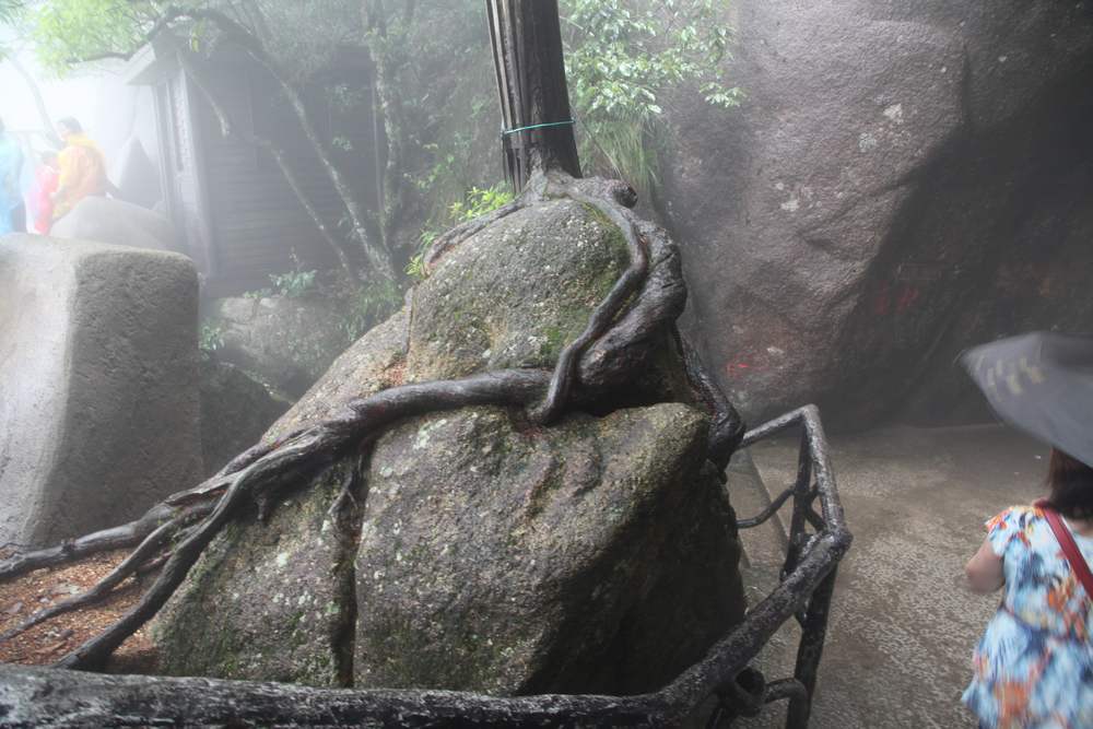 三清山，三溪大峡谷 381.jpg