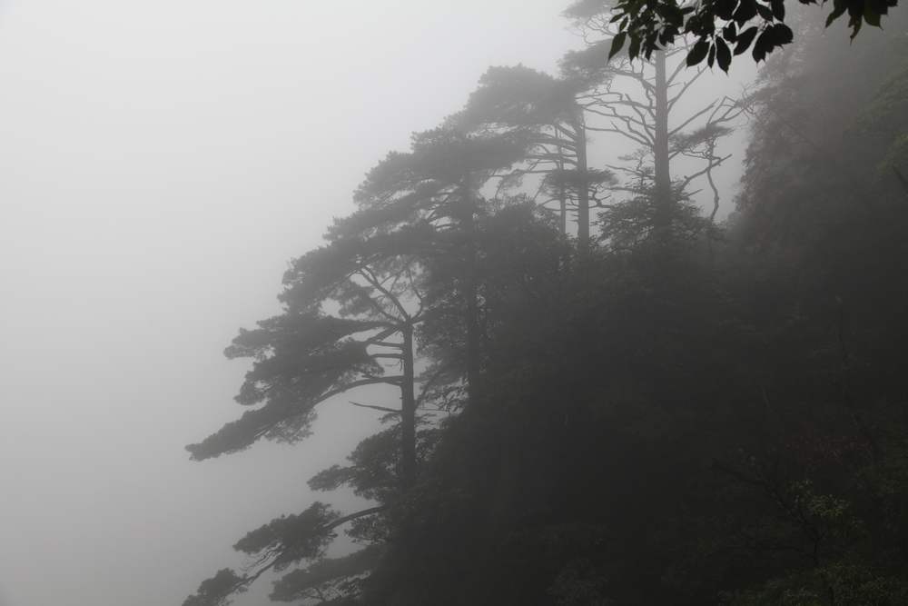 三清山，三溪大峡谷 394.jpg