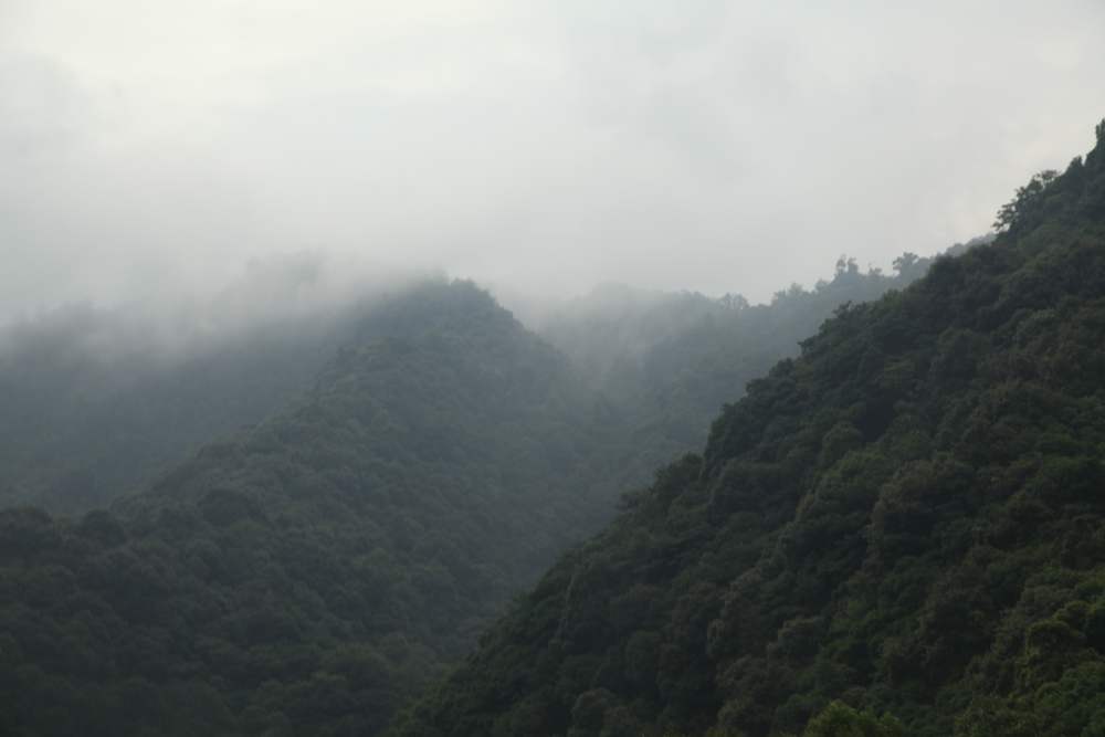 三清山，三溪大峡谷 408.jpg