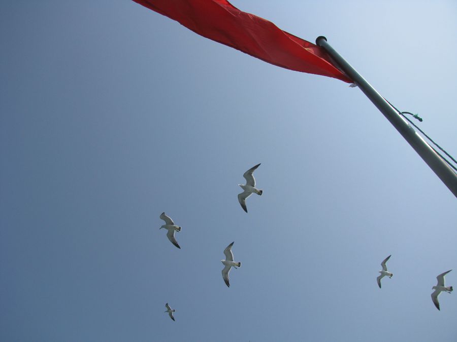 2013.6.8...9环岛大黑山 035_副本.jpg