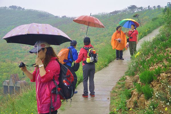 野驴岛之行 568.jpg