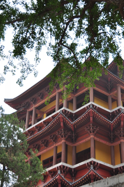 照片 1087_conew1.jpg