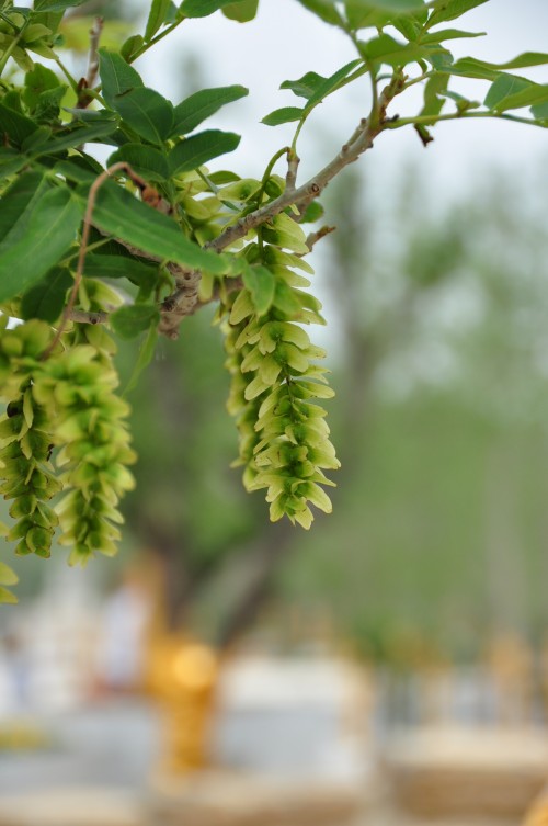 照片 1134_conew1.jpg