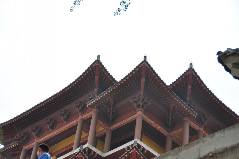 照片 1098_conew1.jpg