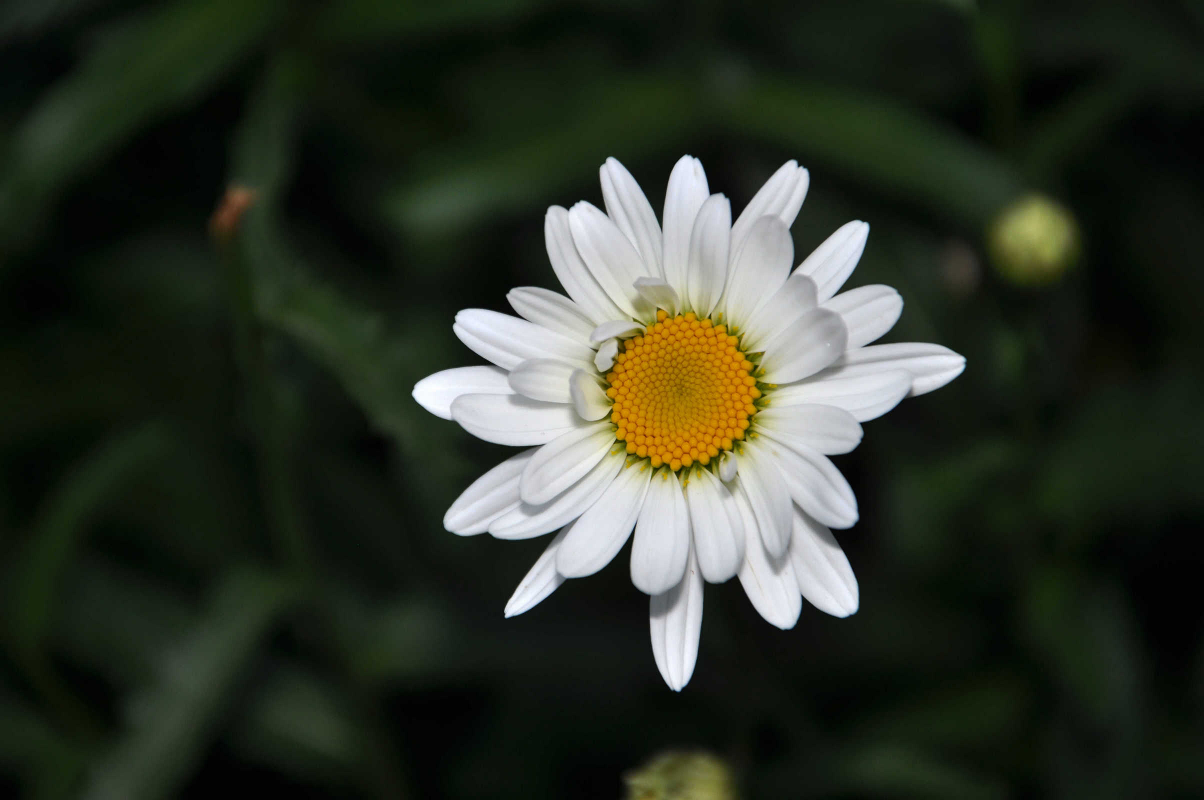 nEO_IMG_DSC_0122.jpg