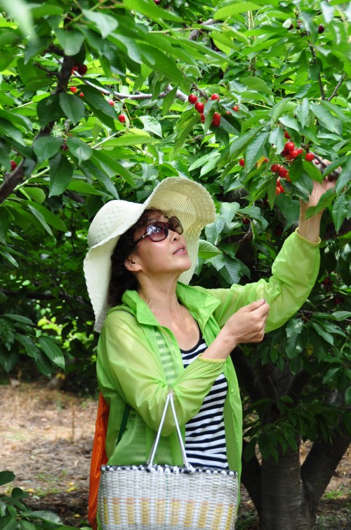 照片 1207_conew1.jpg