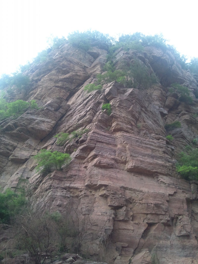 conew_照片361.jpg