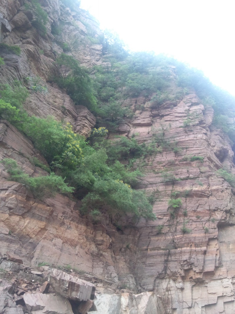 conew_照片362.jpg