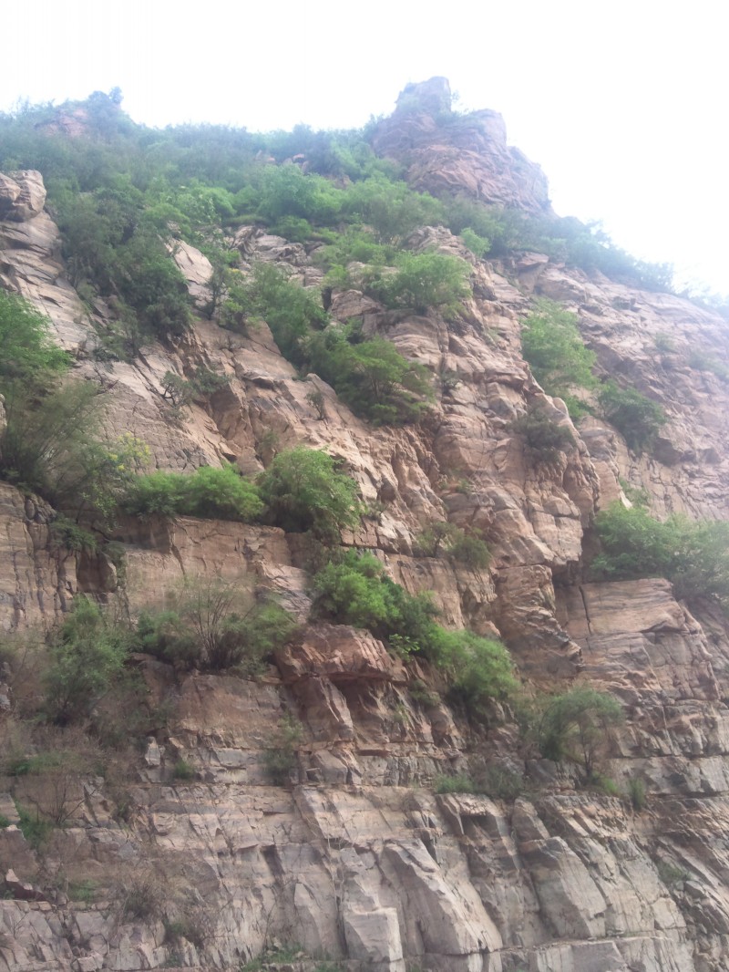 conew_照片368.jpg