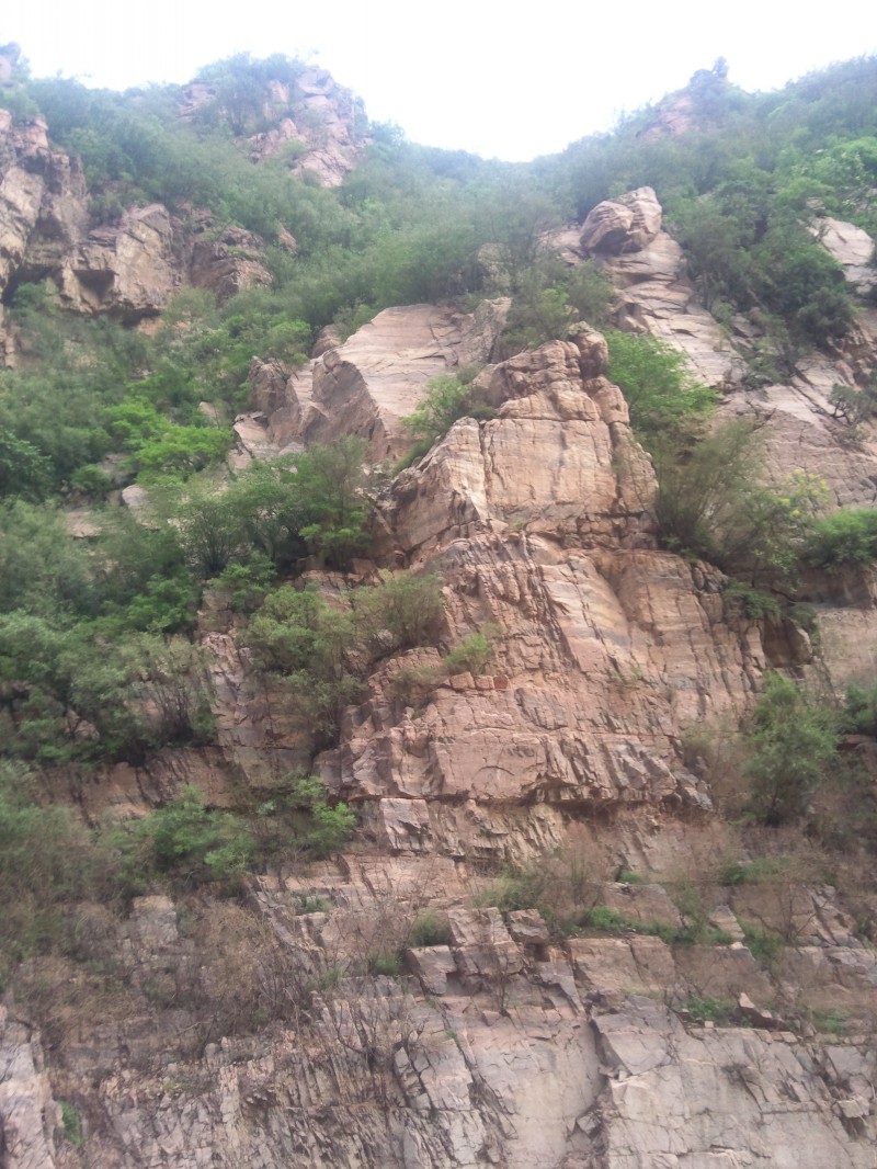 conew_照片369.jpg