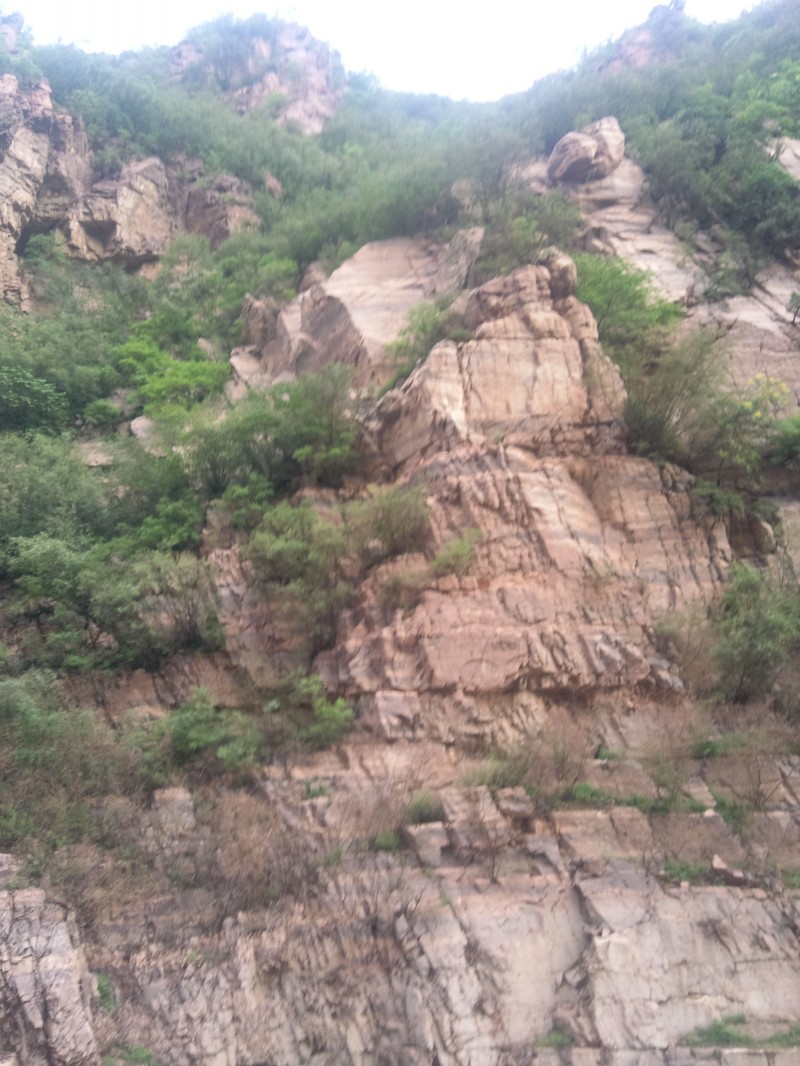 conew_照片370.jpg