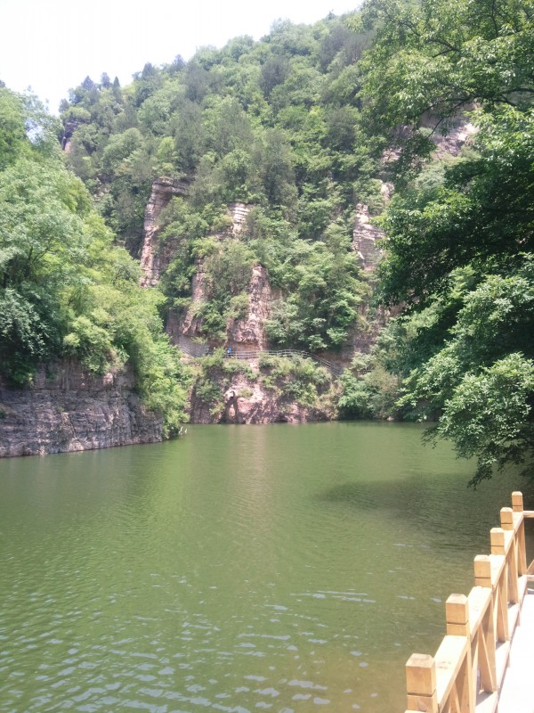 conew_照片375.jpg