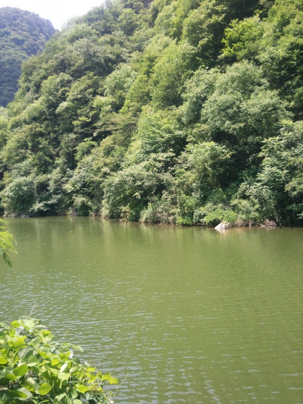 conew_照片376.jpg