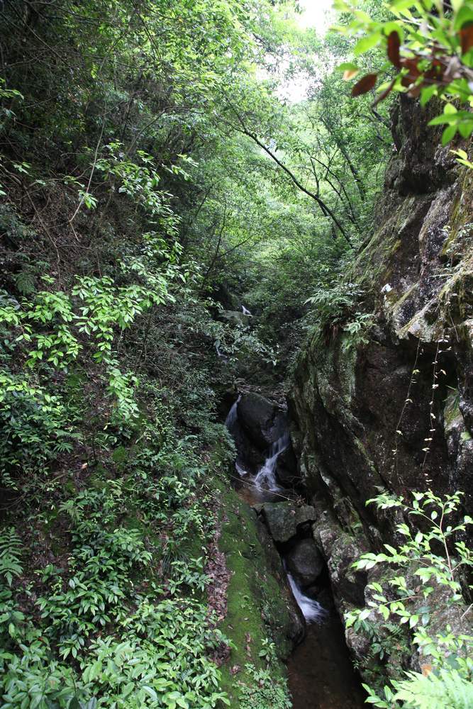 三清山，三溪大峡谷 509.jpg