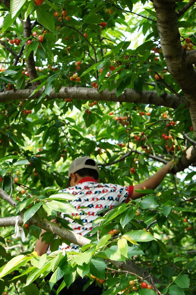 DSC09863.JPG