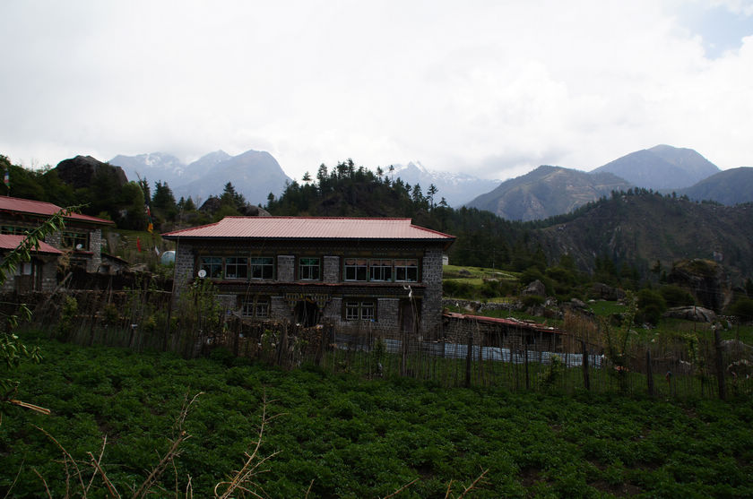 DSC00165.JPG