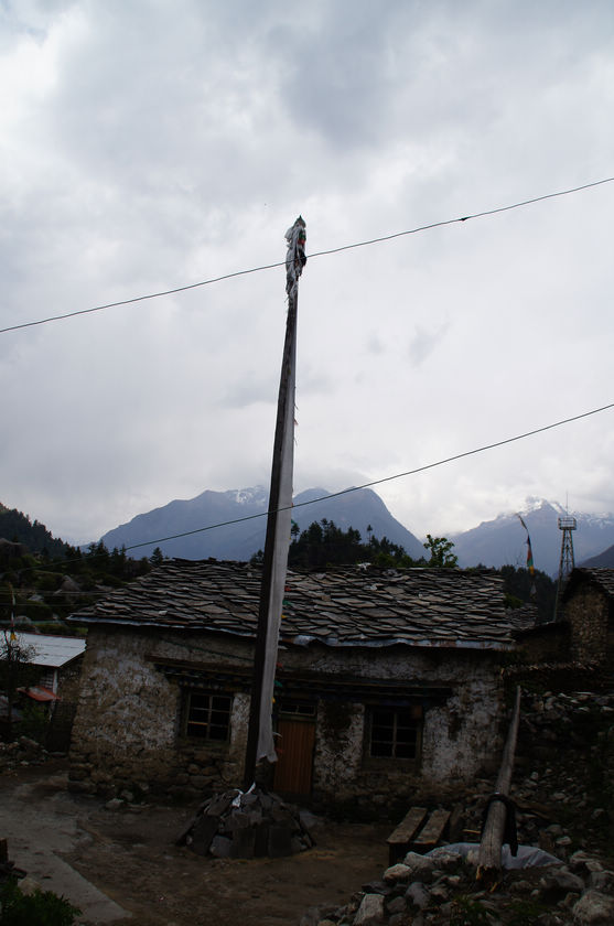 DSC00169.JPG