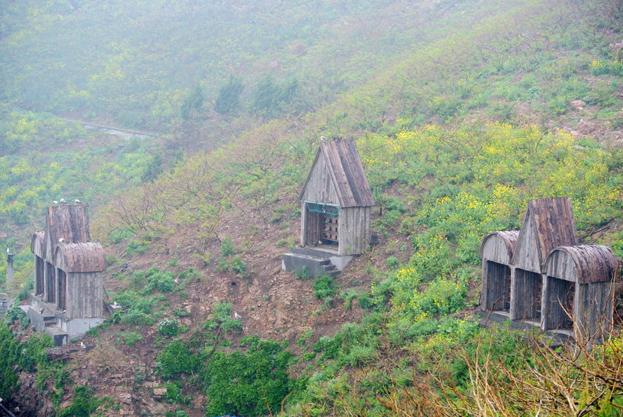 DSC_4554_副本.jpg