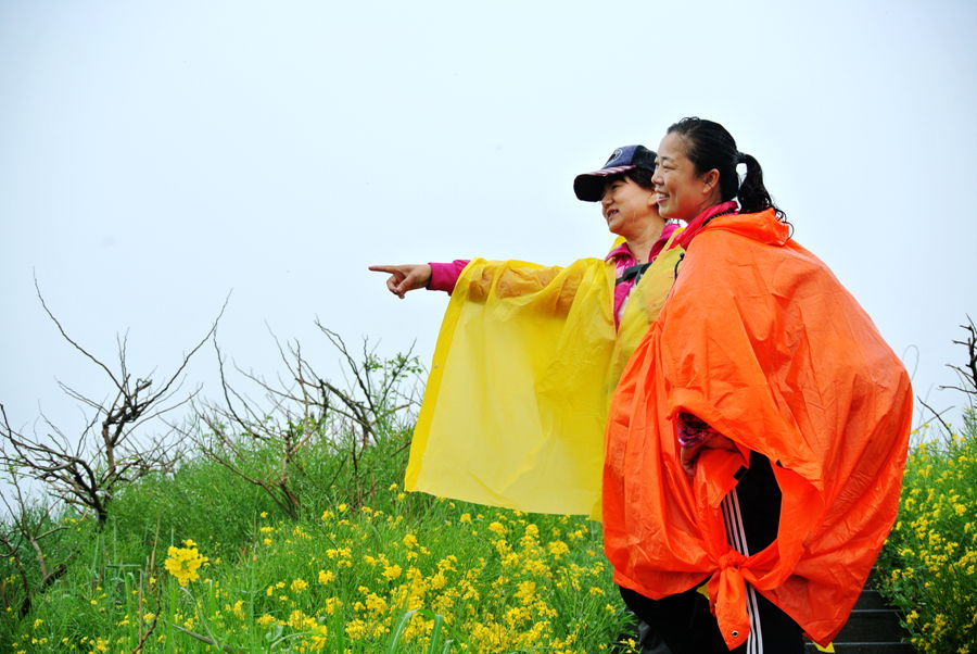 DSC_4574_副本.jpg