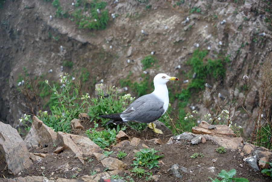 DSC_4589_副本.jpg