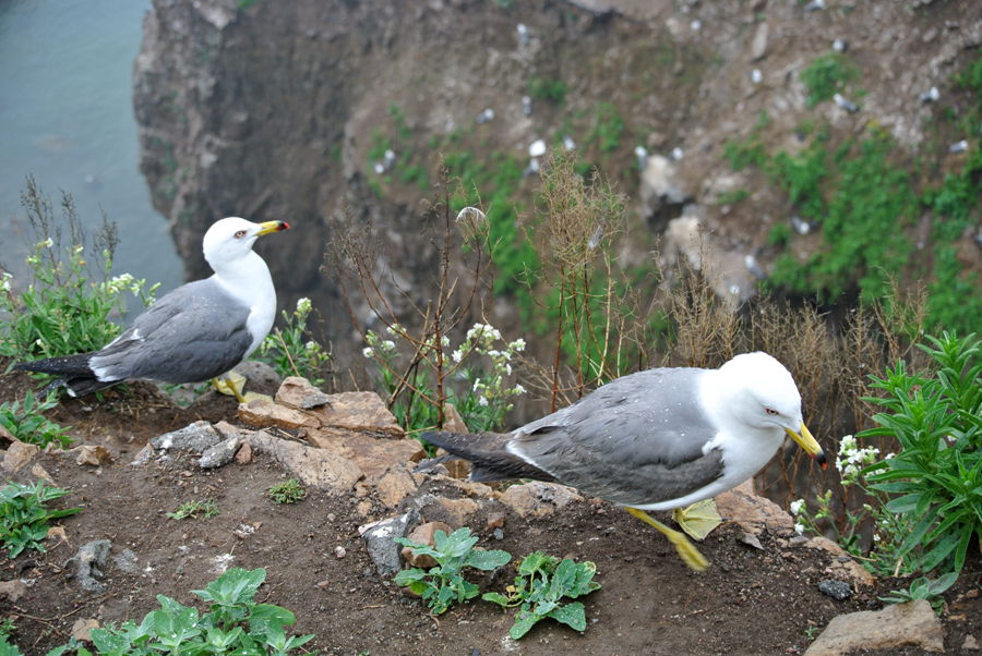 DSC_4587_副本.jpg