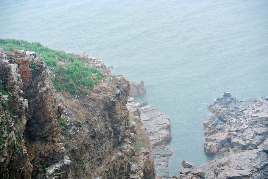 DSC_4590_副本.jpg