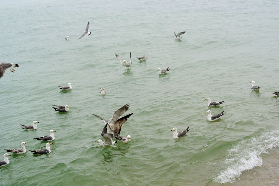 DSC_4625_副本.jpg