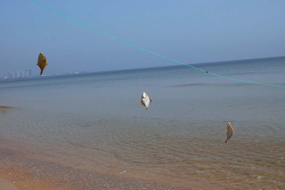 nEO_IMG_DSC08661.jpg