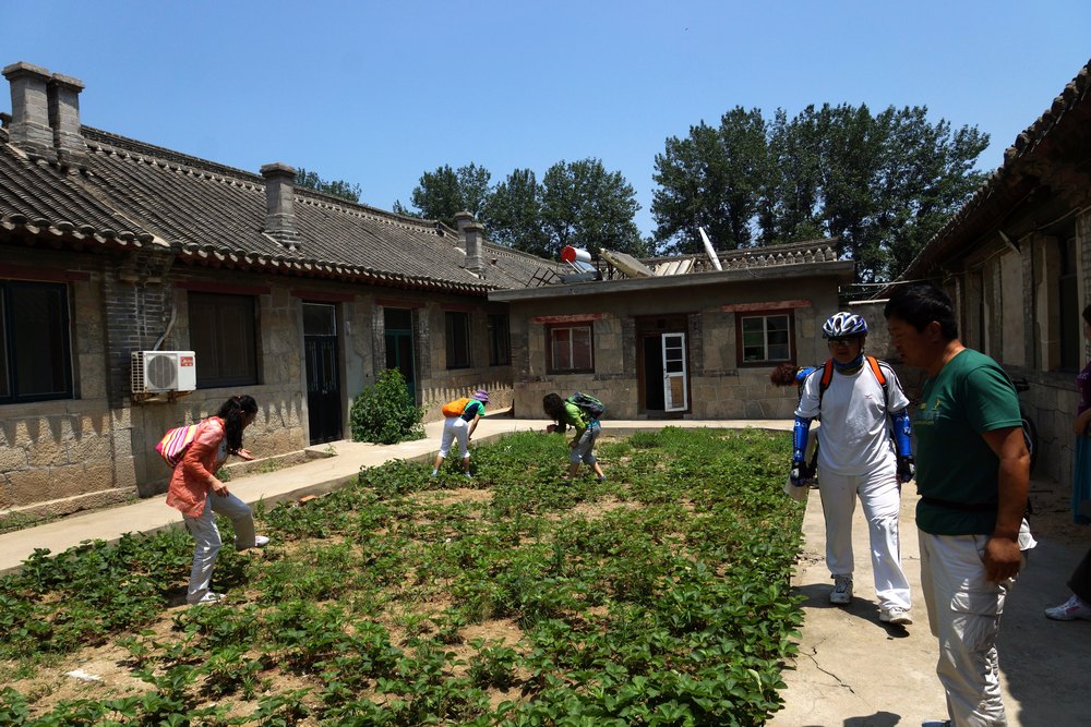 nEO_IMG_DSC08747.jpg