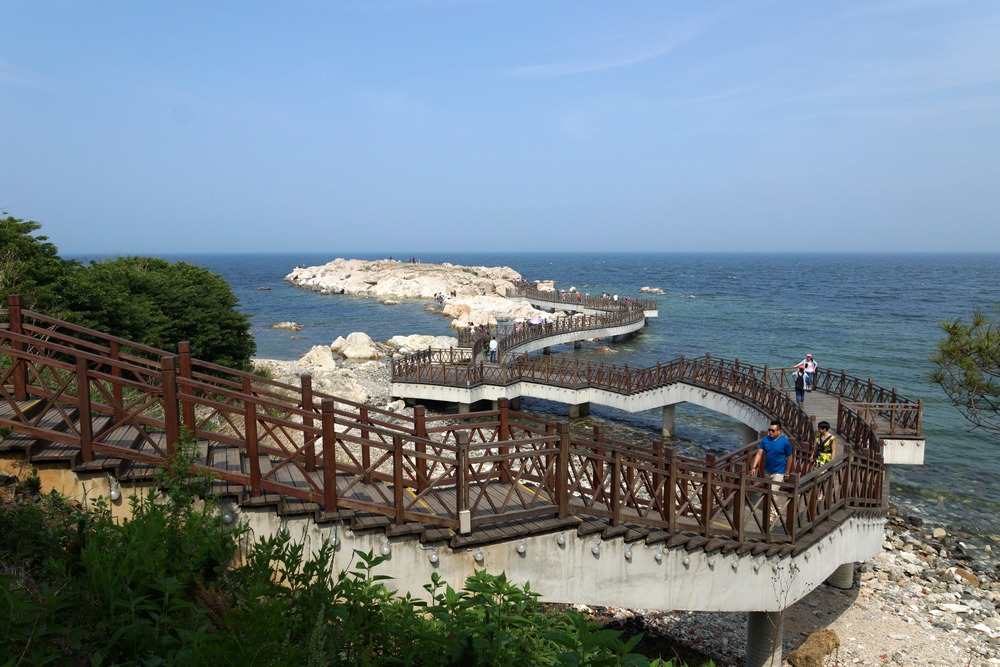nEO_IMG_DSC08813.jpg