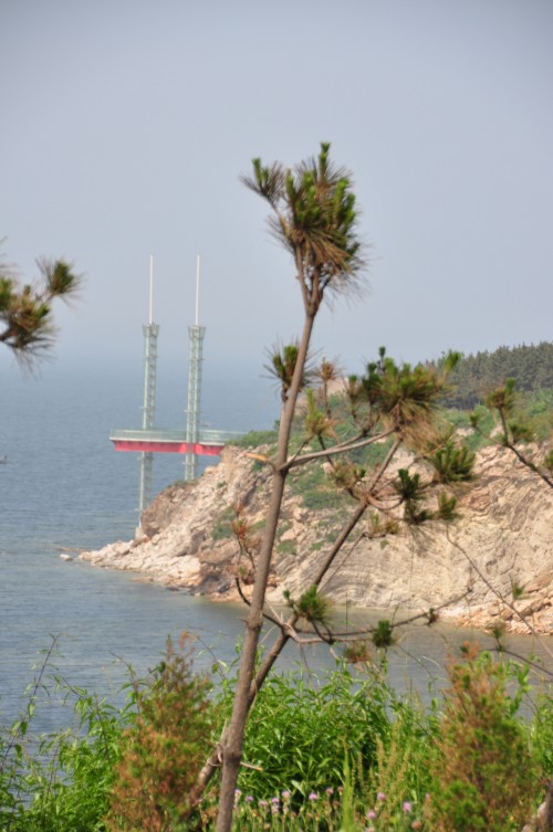 dsc_0492_conew1.jpg