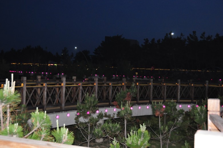 dsc_0877_conew1.jpg