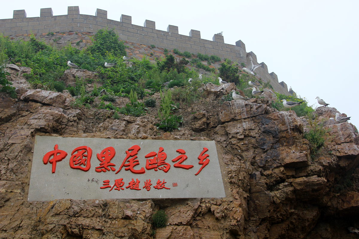 端午2013 025_副本.jpg