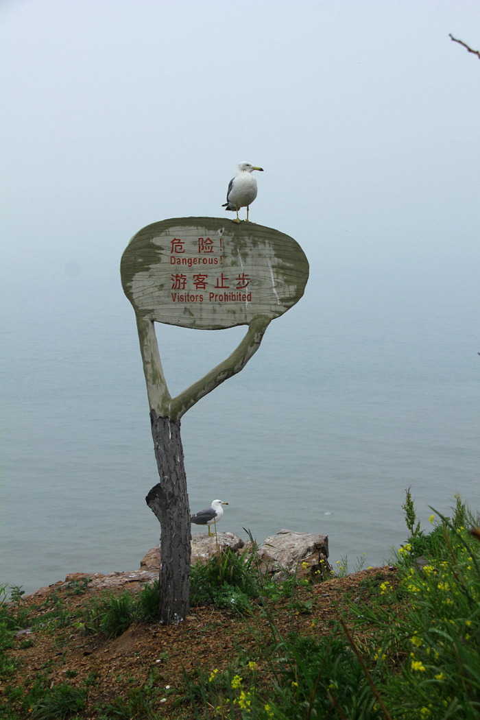 端午2013 328_副本.jpg